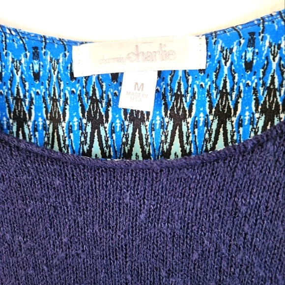 Charming Charlie Sweater Medium - Picture 3 of 7